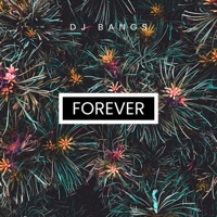 FOREVER - Single - DJ BANGS