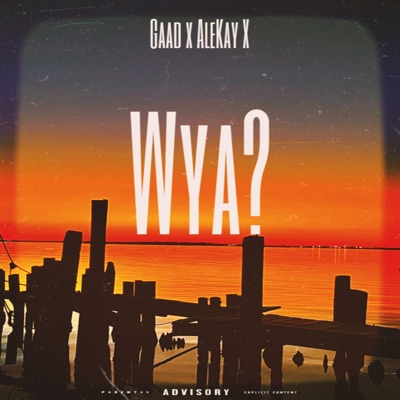 Wya? (feat. AleKay X) - Single