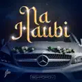 Na Haubi