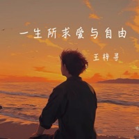 一生所求爱与自由 - Single - 王梓寻