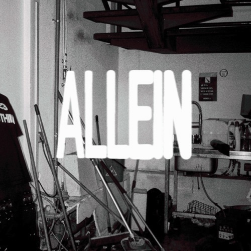ALLEIN (SCHRANZ REWORK)