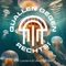 Quallen Gegen Rechts (feat. Verena Meis) - Aylin Leclaire lyrics
