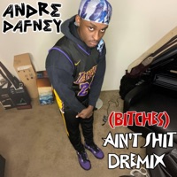 Ain't Shit - Single - André Dafney
