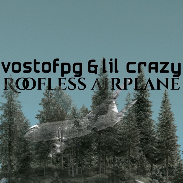 Roofless Airplane (feat. Lil Crazy)