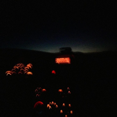 Type Zoals Ik - Single