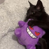 Gengar Gucci Belt - Single - Demonic