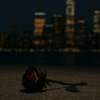 Burnt Roses - Single - Bradenn