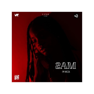 2AM (feat. CSTAR ENT & Callmeay) - Single