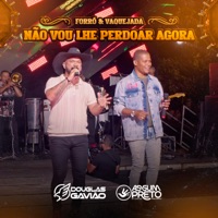 Não Vou Lhe Perdoar Agora - Single - Douglas Gavião & Assum Preto