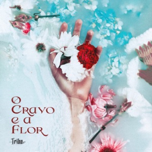 O Cravo e a Flor - Single