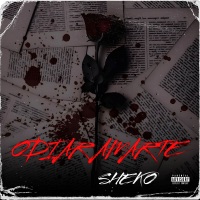 Odiar Amarte - Single - Sheko