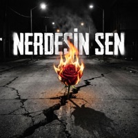 Nerdesin Sen (feat. Bozkurt) [Arabesk Trap Mix] - Single - ans32