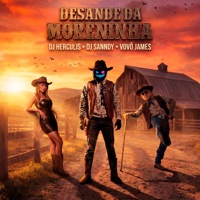 Desande da Moreninha - Single - DJ HERCULIS, Dj Sanndy & Vovô James