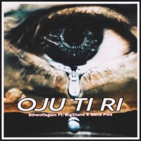 Oju Ti Ri (feat. BigXtune & Chris Pius) - Single - 9thwolfagain