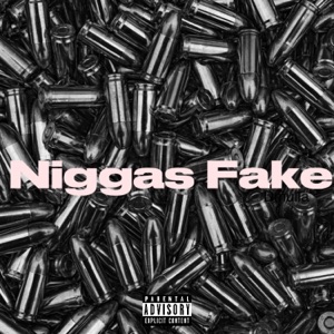 N****s Fake