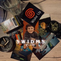SWIDMS - Single - Malenko
