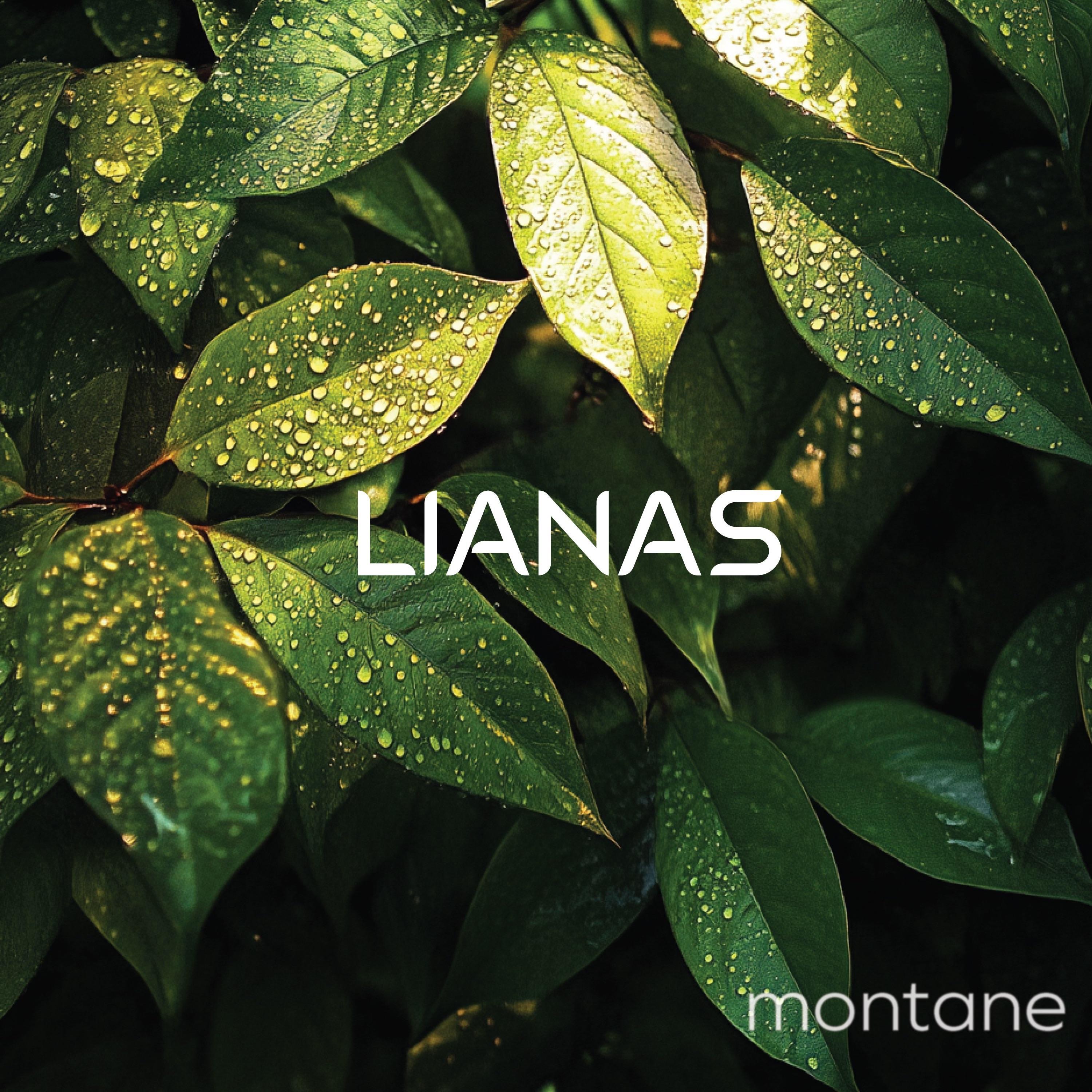 Montane