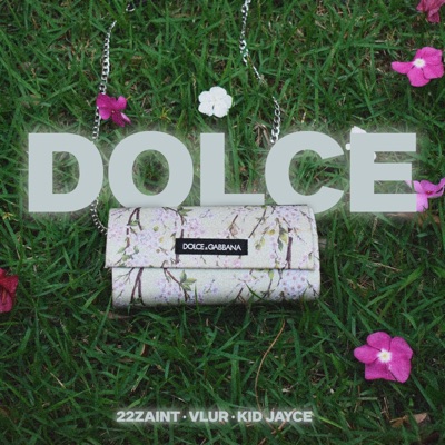 DOLCE (feat. VLUR, 22zaint & HELL) - Single