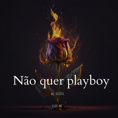 Não Quer Playboy (feat. DJ FERNANDES & Kaka MC) - Single