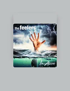 聆聽 the feelers、觀看音樂影片、閱讀小傳、查看巡演日期等！