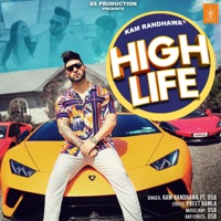 High Life (feat. DSB) - Single - Kam Randhawa