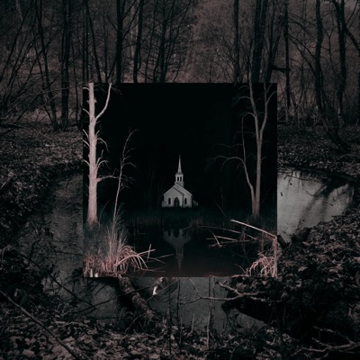 DAWGS LIVE FOREVER - Single