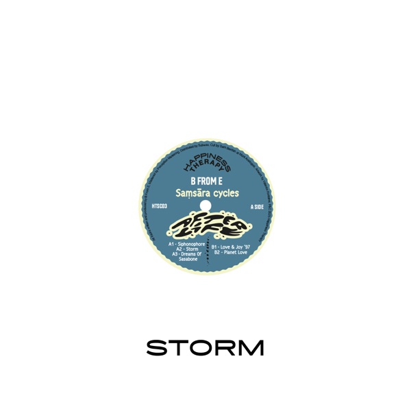 Storm - Single