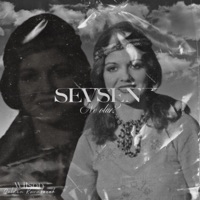 Sevsen Ne Olur? (feat. Gülden Karaböcek) - Single - Wilson D. Official