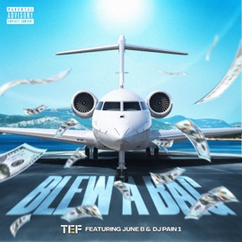 Blew A Bag (feat. June B & DJ Pain 1) [Radio Edit] TEF XL