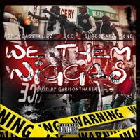 We Them N****s (feat. Ice & Shredgang Mone) - Single - Moneybagz Buzz