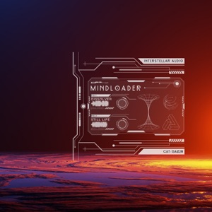 Dissolver / Still Life - Single