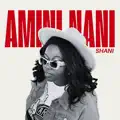 Amini Nani