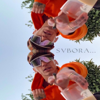 SVBORA... (feat. Serone & ChillNochi) - Single