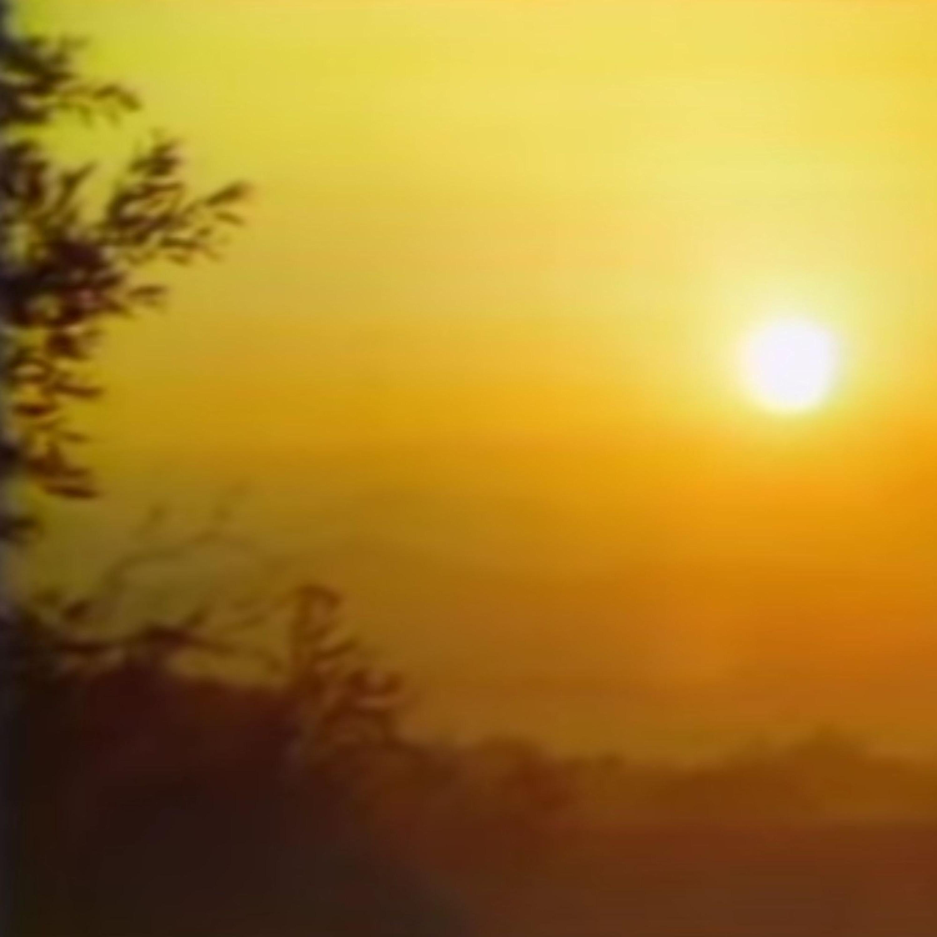 大​山​隠​岐​国