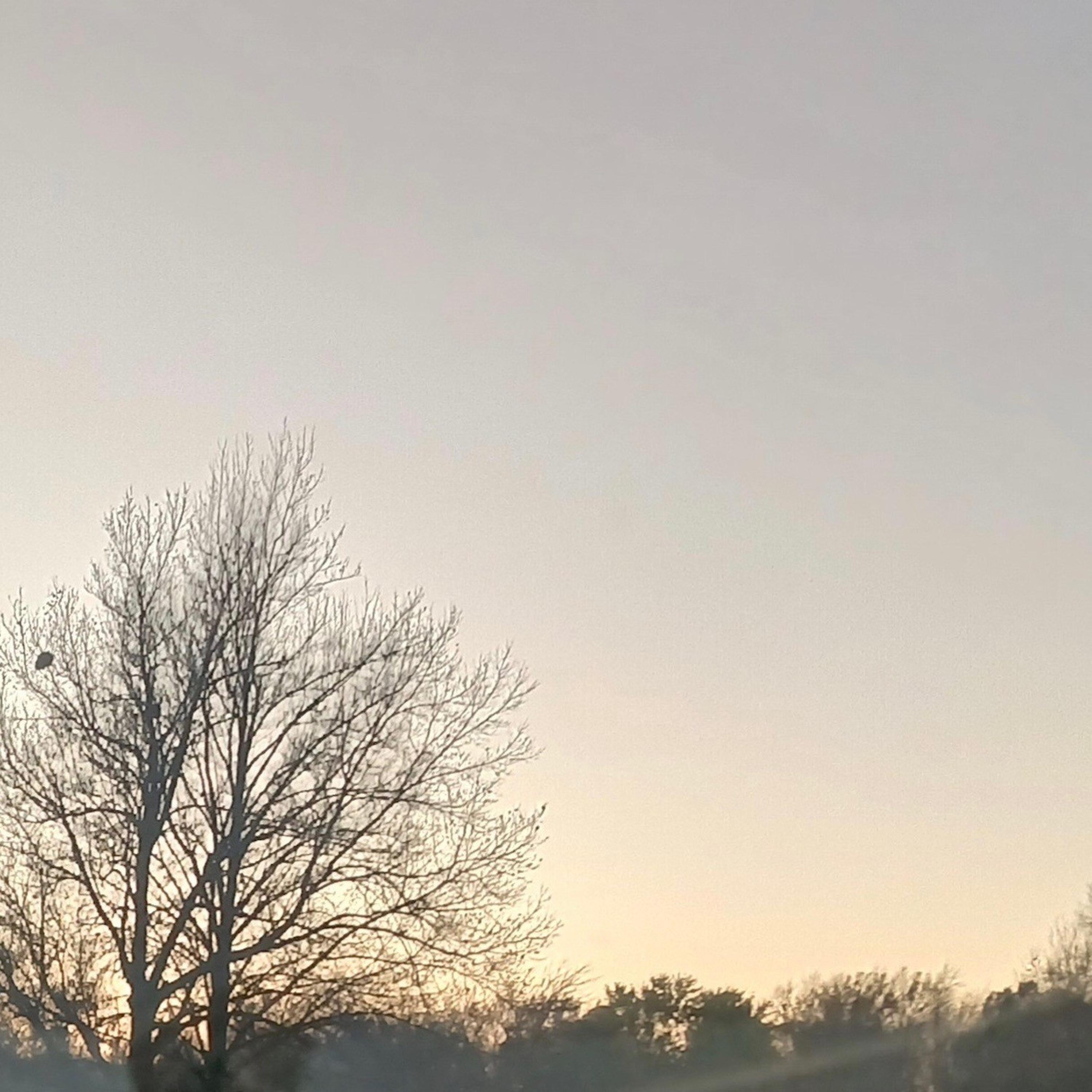 Yakuza 0 (Ryu ga Gotoku 0: Chikai no Basho) - Time of Joy