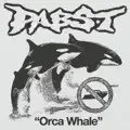 ORCA WHALE