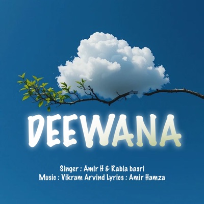 Deewana - Single