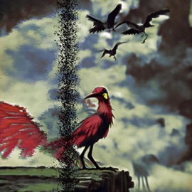 Don't come along egrets