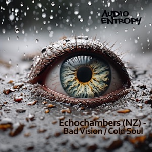 Bad Vision / Cold Soul - Single