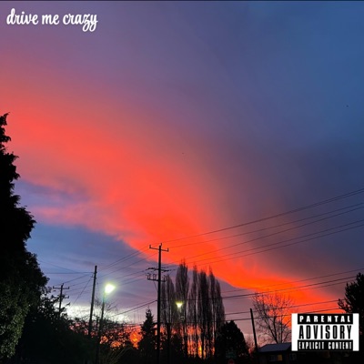 drive me crazy (feat. Danny Darco, TEETO & Emile) - Single