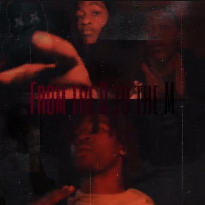 From The D To The M (feat. LilDontplayHCG) - Single
