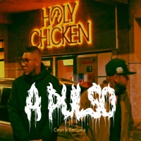 A Pulso - Single - Cesn & Benzina