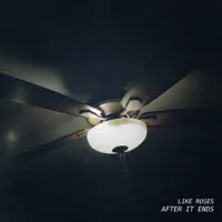 Holidays — Like Roses