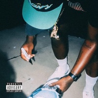 Memoirs Of A Ghetto Summer - TheyCallHimAP