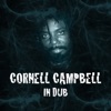 Everybody Needs Dub