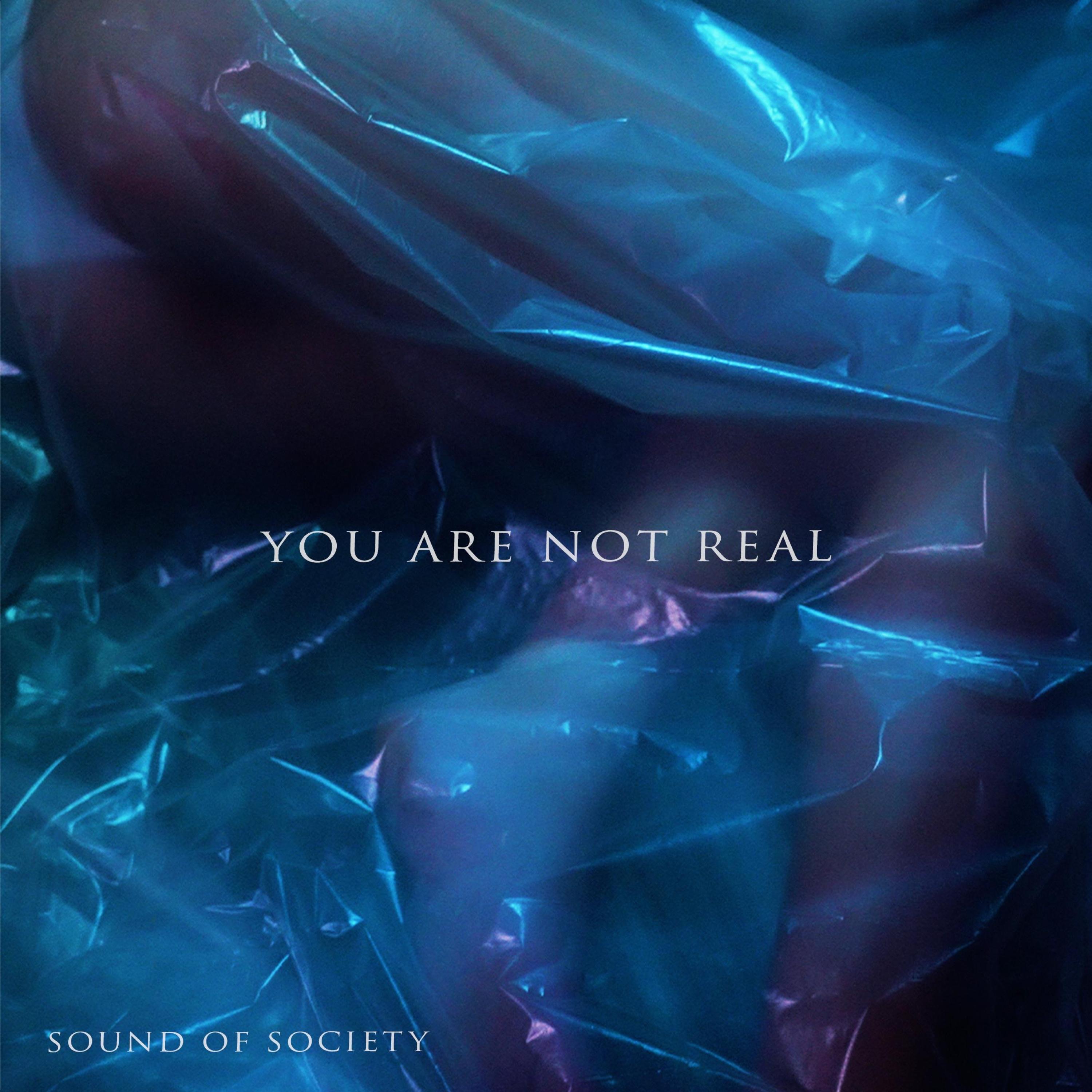 You Are Not Real - Single