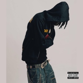 Mr. Nonchalant Snr Morris