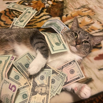 Stay there (feat. Gambit 52) - Single