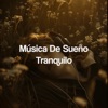 Música De Sueño Tranquilo