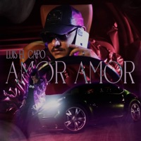 Amor, Amor - Single - Luis el Capo